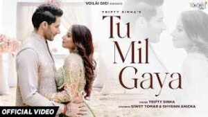 Read more about the article Tu Mil Gaya Ringtone – Tripty Sinha | Shyrinn Anicka