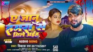 Read more about the article Ae Janu Wo Hi Baas Pa Ringtone – Vikash Rao